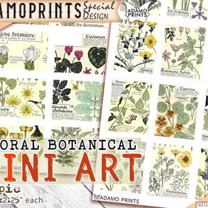 Mini Arte - Botánico Floral, Imágenes en Miniatura, Suministros para Revistas, Efímera, Álbum de Recortes, Vintage, Planta, Jardín, Collage Digital, Alter Art