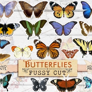 Mariposas cortadas quisquillosas, mariposa digital, adorno de mariposa, efímera de diario basura, álbum de recortes, etiquetas, imágenes digitales, collage