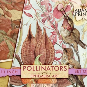 Printable Animal Images, Pollination, Butterflies, Bees, Birds, Flowers, Digital Ephemera Classics, Vintage Art, Digital Collage, Download