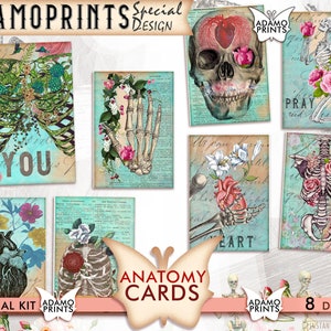 Anatomy Cards, Digital Images, ATC, Skull, Rose, Digital Ephemera Classics, Printable Images, Vintage Art, Digital Collage, Scrapbook Kit