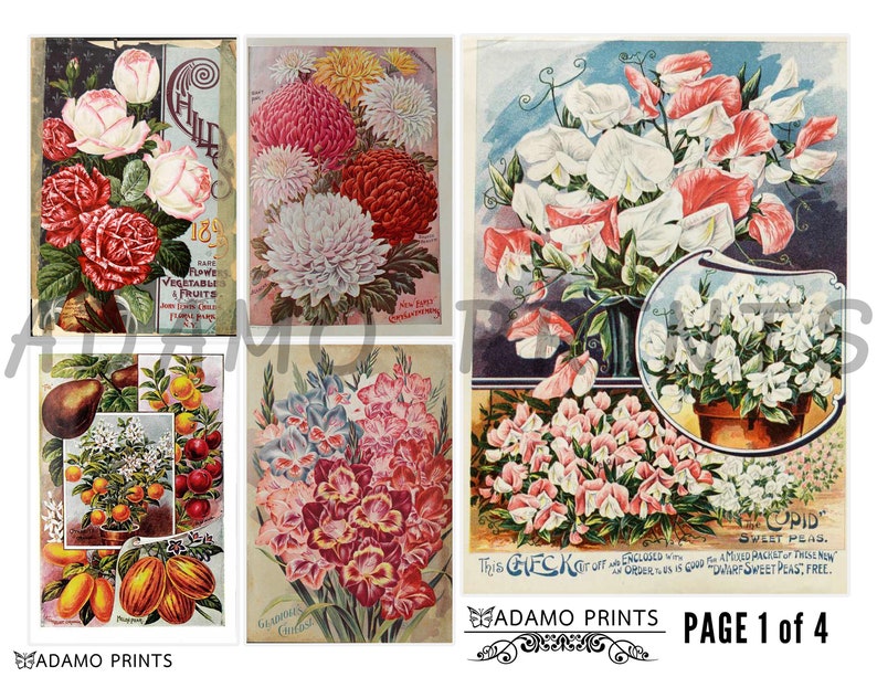 ATC Book Pages Vintage Art Rare and Beautiful Flowers Set2 Ephemera Classics Plants Digital Images Scrapbook Digital Collage