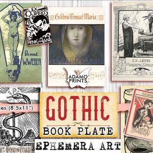 Gothic Bookplate, Ex Libris, Antique Bookplate, Ephemera Kit, Digital Image, Collage Sheet, Scrapbook, Shappy Paper, Library Embellishment