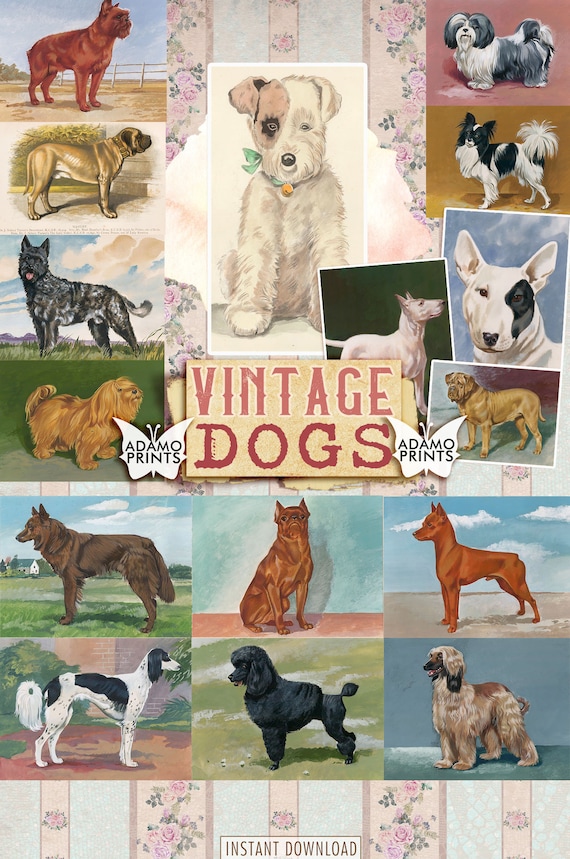 Vintage Dogs Animal Digital Printable Images Vintage Art | Etsy