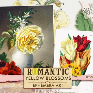 Flores Amarillas Románticas, Flores Digitales, Flores Digitales, Flores Silvestres, Plantas, Clásicos Efímeros, Imágenes Imprimibles, Arte Vintage, Álbum de Recortes