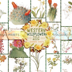 Vintage Western Wildblumen Kunst: Ephemera Bilder für Collage (Digitaler Download)