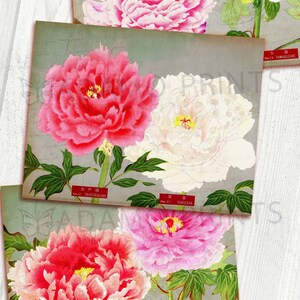 Vintage Peonies Cover Art, Japanese Flower Paper, Junk Journaling Kit, Paper for Journal Kit, Wallpaper Digital, Printable Background