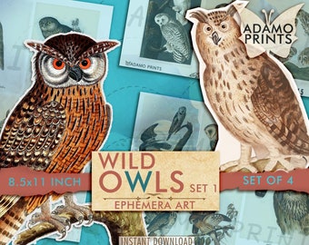 Wild Owls Printable Set1, Digital Collage Sheet, Digital Image, Art Ephemera, Vintage Art, ATC, Cards, Woodland, Nature, Scrapbook, Download