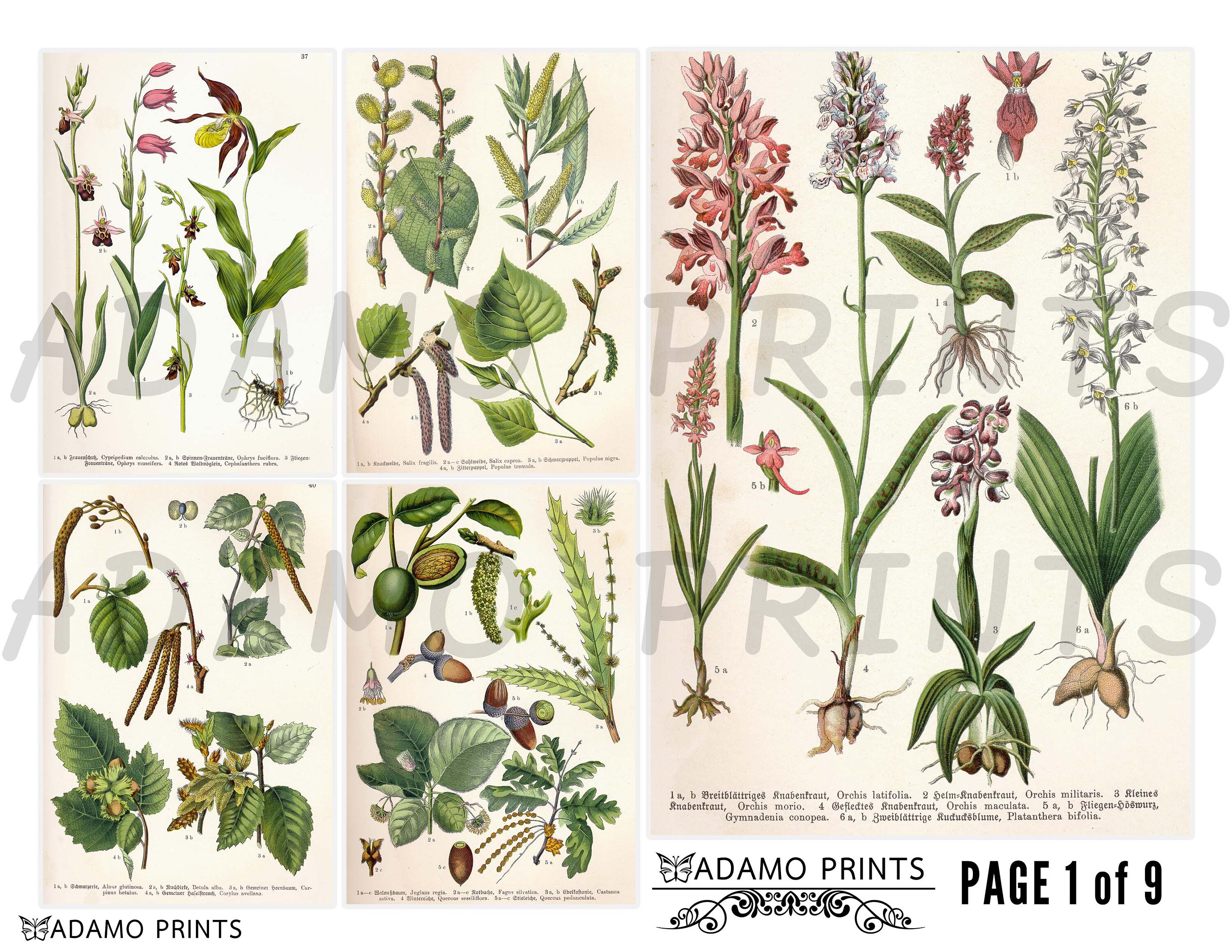 2. Botanical Expressions: Personalized Pot Plants