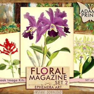 Floral Magazine Set2, Imágenes Digitales, Flores Silvestres, Plantas, ATC, Historia de las Flores, Clásicos Efímeros, Arte Vintage, Collage Digital, Descargar