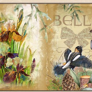 Oiseaux & Nature Journal Kit, Journal Page, Collage Sheets, Botanical, Ephemera, Printable Journal Kit, Scrapbook Animals, vintage Journal Kit image 3