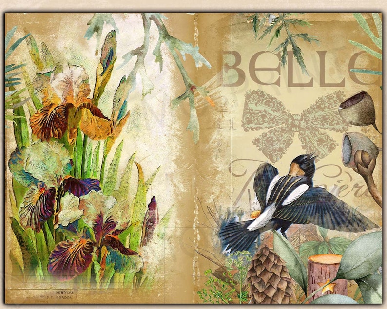 Oiseaux & Nature Journal Kit, Journal Page, Collage Sheets, Botanical, Ephemera, Printable Journal Kit, Scrapbook Animals, vintage Journal Kit image 3