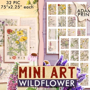 Mini Arte - Flores Silvestres, Imágenes en Miniatura, Islas Británicas, Efímera Digital, Álbum de Recortes, ATC, Vintage, Planta, Jardín, Collage Digital, Página de Libro