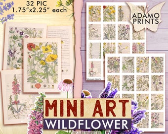 ATC Book Pages Vintage Art Rare and Beautiful Flowers Set2 Ephemera Classics Plants Digital Images Scrapbook Digital Collage