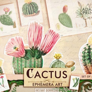 Cactus Digital, Suculentas Digital, ATC, Hoja de Collage, Plantas, Tarjetas Digitales Imprimibles, Clásicos Efímeros, Imágenes Imprimibles, Álbum de Recortes