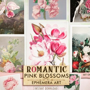 Flores Rosadas Románticas, Flores Digitales, Flores Digitales, Flores Silvestres, Plantas, Clásicos Efímeros, Imágenes Imprimibles, Arte Vintage, Álbum de Recortes