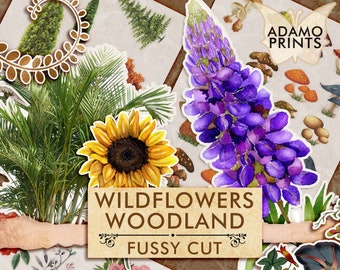 May include: A set of digital paper illustrations featuring a variety of woodland wildflowers, including a sunflower, lupine, and ferns. The illustrations are in a watercolor style and have a whimsical, vintage feel. The text "Wildflowers Woodland Fussy Cut" is included in the image.