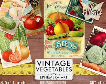 May include: A set of four vintage vegetable seed packets, featuring illustrations of tomatoes, onions, cabbage, and carrots. The packets are printed with the names of the vegetables and the companies that sold them. The text on the packets includes "Johnson & Stokes", "Brandywine Tomato", "High Grade Seeds", "Wood & Stubbs", and "Adamo Prints".
