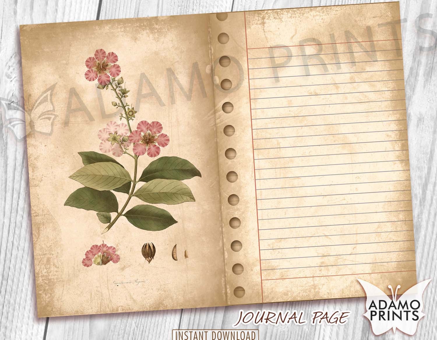 Botanical Junk Journal Kit Loaded Pocket Tag Ephemera - Etsy
