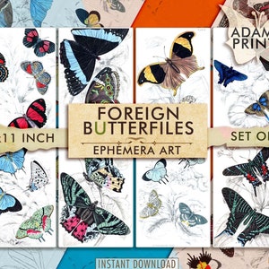 Foreign Butterflies, Digital Images, Ephemera Classics, Printable Images, Vintage Art, Digital Collage, Book Pages, Entomology, Download