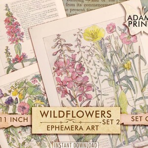 Wildflower Botanische Set2, Britse eilanden, digitale Ephemera, Scrapbook, ATC, Vintage, Plant, Tuin, Digitale Collage, Boekpagina's, Download
