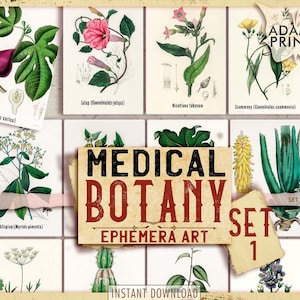 Conjunto de botánica médica1, Imágenes imprimibles, Arte vintage, Efemérides digitales, Shabby, Planta, Hoja de collage, Kit de diario, Etiquetas, Kits de álbumes de recortes