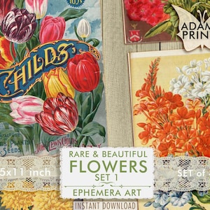 Flores raras y hermosas Set1, Imágenes digitales, Clásicos efímeros, Arte vintage, Plantas, Álbum de recortes, Collage digital, Páginas de libros, ATC
