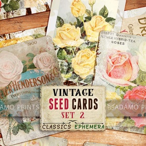 Cartões de diário para impressão, conjunto de cartões de sementes vintage 2, rosa, cartões de diário, ATC, coisas efêmeras digitais, gastos, cartão postal, folha de colagem, download