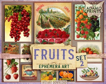 Puede incluir: Un collage digital de ilustraciones vintage de frutas. El collage incluye imágenes de grosellas rojas, frambuesas, fresas, naranjas y ciruelas. El título "FRUITS EPHEMERA ART SET 2" se muestra en una fuente vintage.