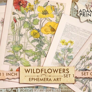 Wildflower Botanische Set1, Britse eilanden, digitale Ephemera, Scrapbook, ATC, Vintage, Plant, Tuin, Digitale Collage, Boekpagina's, Download