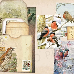 Oiseaux & Nature Journal Kit, Journal Page, Collage Sheets, Botanical, Ephemera, Printable Journal Kit, Scrapbook Animals, vintage Journal Kit image 2
