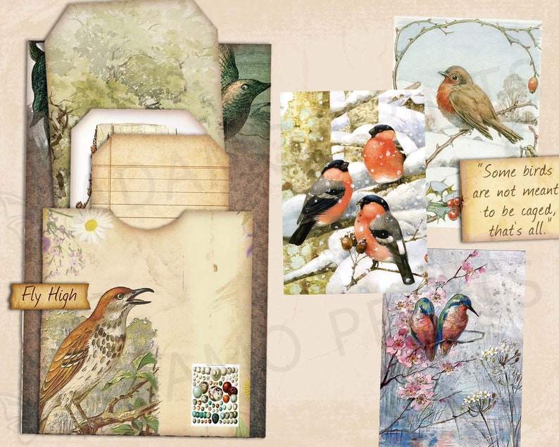 Oiseaux & Nature Journal Kit, Journal Page, Collage Sheets, Botanical, Ephemera, Printable Journal Kit, Scrapbook Animals, vintage Journal Kit image 2