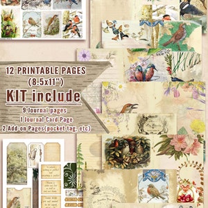 Oiseaux & Nature Journal Kit, Journal Page, Collage Sheets, Botanical, Ephemera, Printable Journal Kit, Scrapbook Animals, vintage Journal Kit image 4