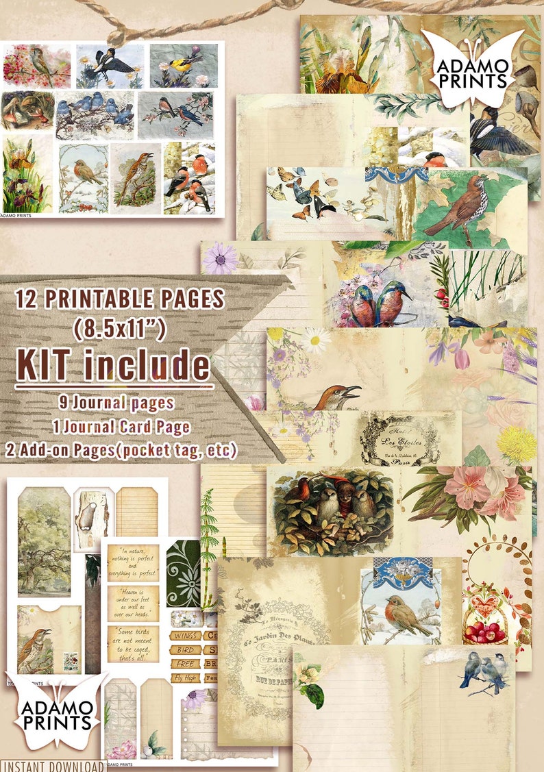 Oiseaux & Nature Journal Kit, Journal Page, Collage Sheets, Botanical, Ephemera, Printable Journal Kit, Scrapbook Animals, vintage Journal Kit image 4