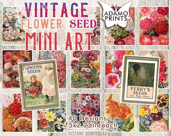 May include: A collection of 40 vintage flower seed packet designs, each measuring 1.75 x 2.25 inches. The designs feature a variety of flowers, including pansies, roses, and lilies. The packets are printed in a variety of colours, including red, blue, green, and yellow. The text on the packets includes the names of the flowers, the company that produced the seeds, and instructions for planting. The packets are arranged in a grid pattern on a white background. The text "Vintage Flower Seed Mini Art" is displayed at the top of the image. The text "40 Designs 1.75x2.25in each" is displayed in the bottom centre of the image. The text "Instant Download" is displayed below the text "40 Designs 1.75x2.25in each".