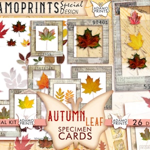 Tarjetas de muestra de hojas de otoño, Corte quisquilloso, Kit de efímeras, Embellecimiento, Otoño, Etiqueta, Diario basura, Imprimible, Claro, Descarga digital