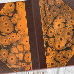 May include: Close-up of a book cover with a brown leather spine and orange marbled paper with black spots. The marbled paper has a unique pattern of swirling circles and dots.