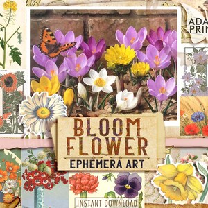 Bloom Flower, Obrazy cyfrowe, Sztuka vintage, Słonecznik, Tulipan, Róża, Stokrotka, Zniszczony, Natura albumu, Kolaż cyfrowy, Klasyczne efemerydy, ATC