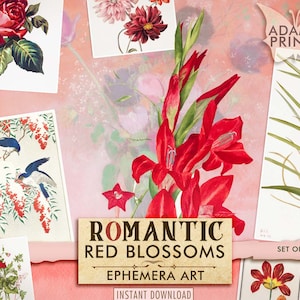 Flores Rojas Románticas, Flores Digitales, Flores Digitales, Flores Silvestres, Plantas, Clásicos Efímeros, Imágenes Imprimibles, Arte Vintage, Álbum de Recortes