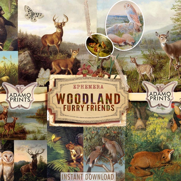 Woodland Furry Friends, Animal Digital, Sheep, Rabbit, Birds, Owl, Bear, Ephemera, Forest, Scrapbook Animal, Vintage Art