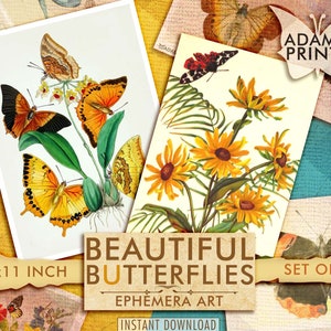 Prachtige vlinders, ongewenste Journal Ephemera, Scrapbook, briefkaart, vintage kunst, digitale beelden, collage, Ephemera, digitale beelden, downloaden