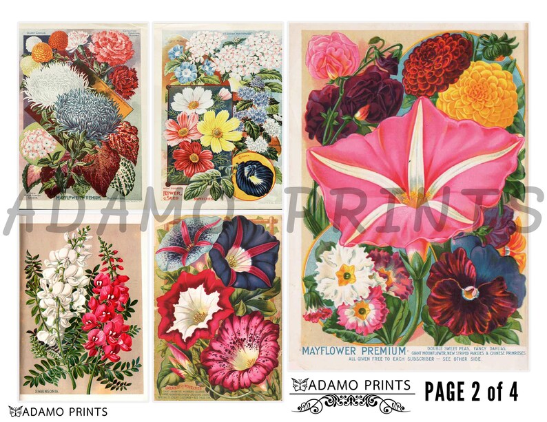 ATC Book Pages Vintage Art Rare and Beautiful Flowers Set2 Ephemera Classics Plants Digital Images Scrapbook Digital Collage