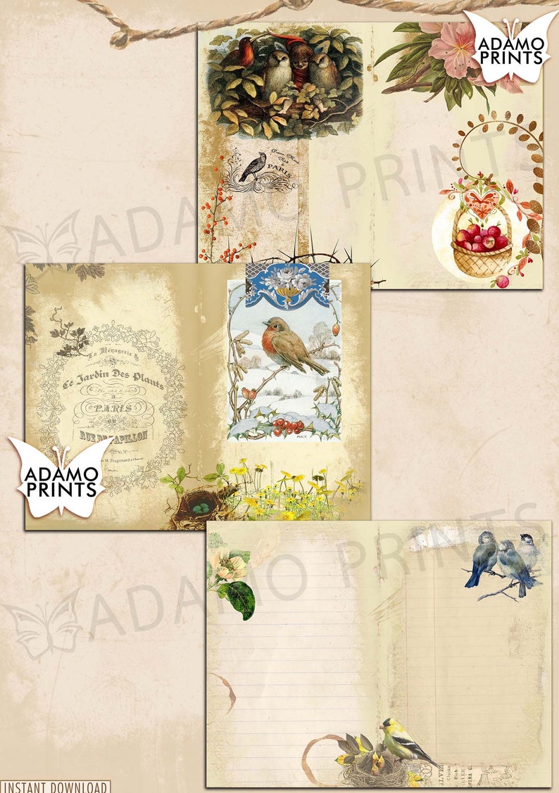 Oiseaux & Nature Journal Kit, Journal Page, Collage Sheets, Botanical, Ephemera, Printable Journal Kit, Scrapbook Animals, vintage Journal Kit image 6