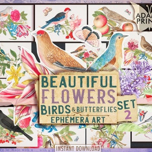 Hermosas flores pájaros y mariposas Set2, tarjetas de diario, efímera imprimible, diario basura, ATC, vintage, hoja de collage, naturaleza efímera
