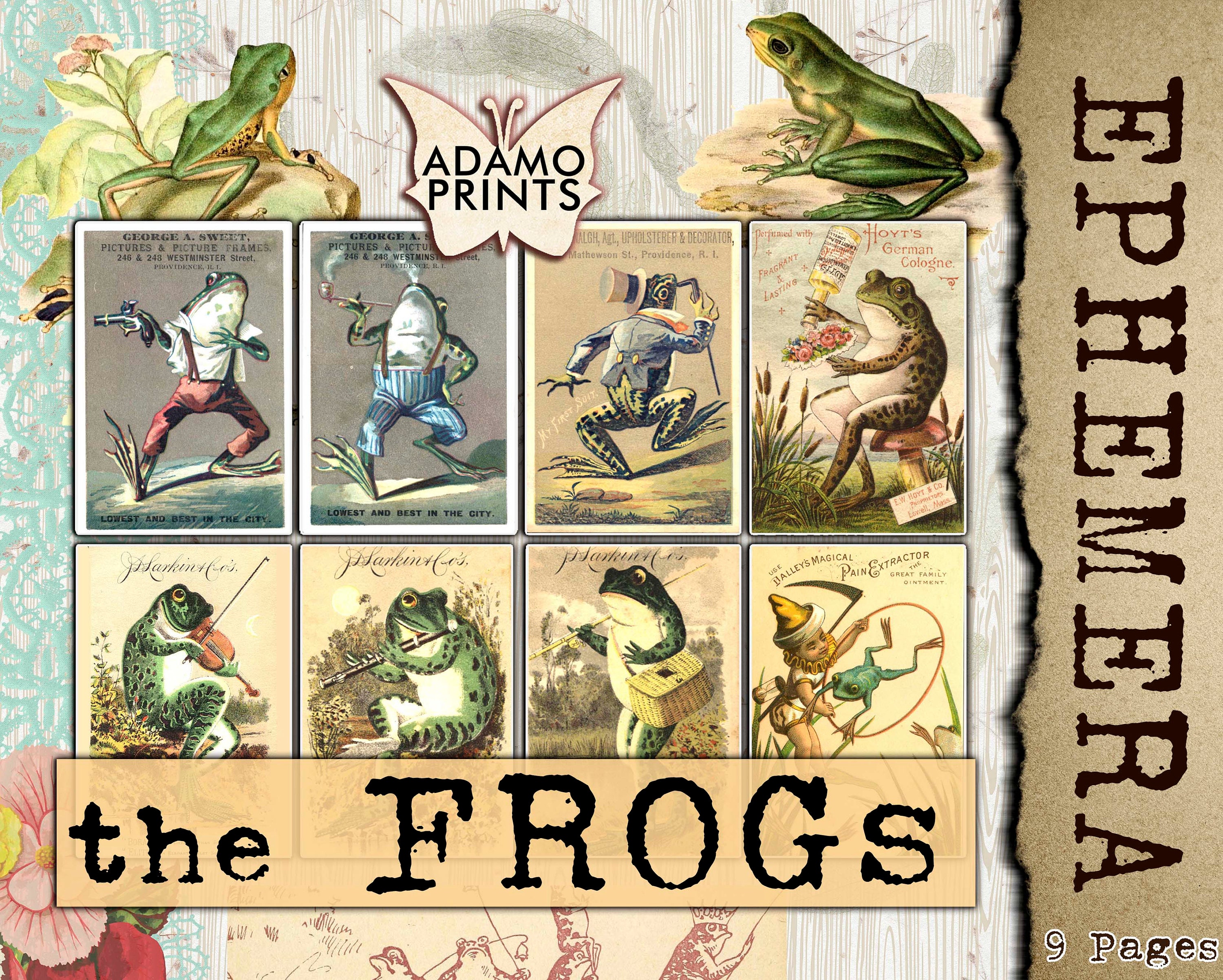 Frog Trade Cards 