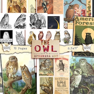 The Owl Vintage Digital, Woodland Animals Collage Sheet, Digital Image, Art Ephemera, Forest Animals Nature, Scrapbook Image for Journal Kit
