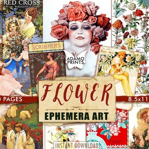 Arte Floral, Jardín De Hadas, Clásicos Efímeros, Mujeres Digitales, Imagen Digital, Arte Vintage, Collage Digital, Libro De Recuerdos De Flores, Plantas, Botánico