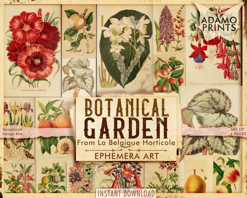 Botanical Garden From La Belgique Horticole, Engravings, Digital Art, Ephemera, Plants, Garden, Classics, Digital Collage, Scrapbook image 1