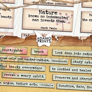 Parole del diario della natura, parola del diario spazzatura, citazione di ispirazione digitale, diario spazzatura, frasi, definizione, tecniche miste, stampabile, parola effimera