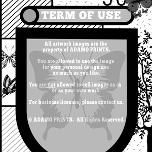 May include: Black and white image with the text "ADAMO PRINTS" and "TERM OF USE" in a white rectangle. The text below states that all artwork images are the property of ADAMO PRINTS and that you are allowed to use the image for your personal design use as much as you like. The text also states that you are not allowed to sell images as-is or as your own work. The text concludes with "For business licenses, please contact us." and "&copy; ADAMO PRINTS. All Rights Reserved."