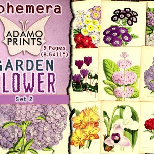 Zestaw kwiatów ogrodowych 2, Ephemera Flower, Obraz cyfrowy, Sztuka vintage, Ogród cyfrowy, Kwiat shabby, Natura albumu, Kolaż cyfrowy, ATC
